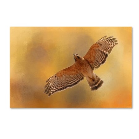 Jai Johnson 'Raptors Afternoon Flight' Canvas Art,22x32